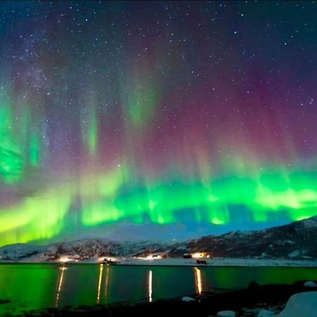 In The Heart Of The Aurora Borealis - Tromso City מראה חיצוני תמונה