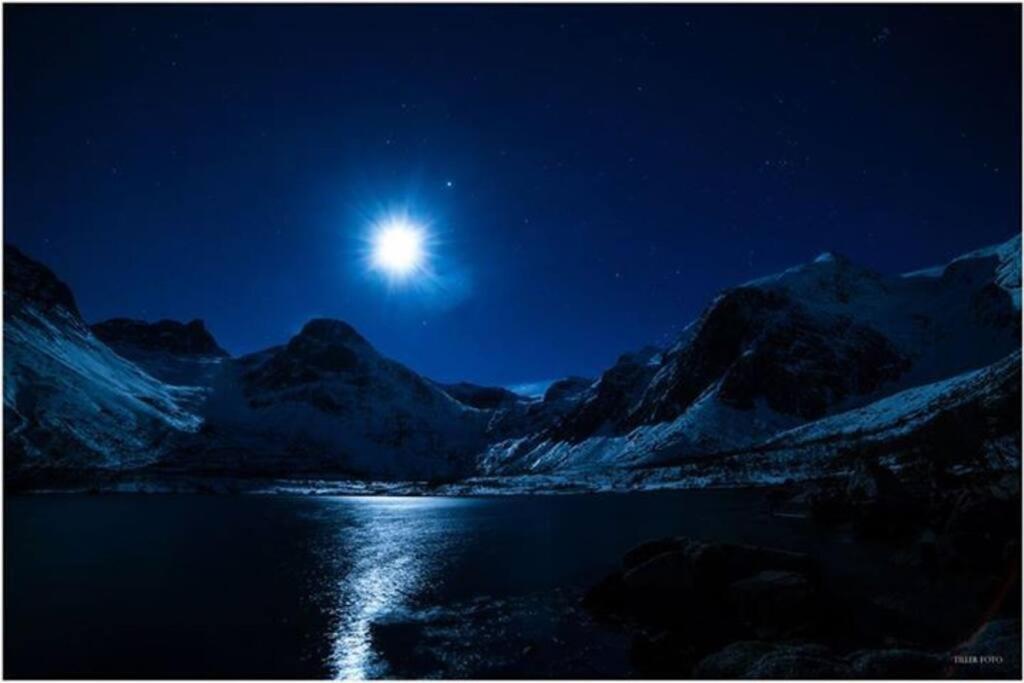 In The Heart Of The Aurora Borealis - Tromso City מראה חיצוני תמונה