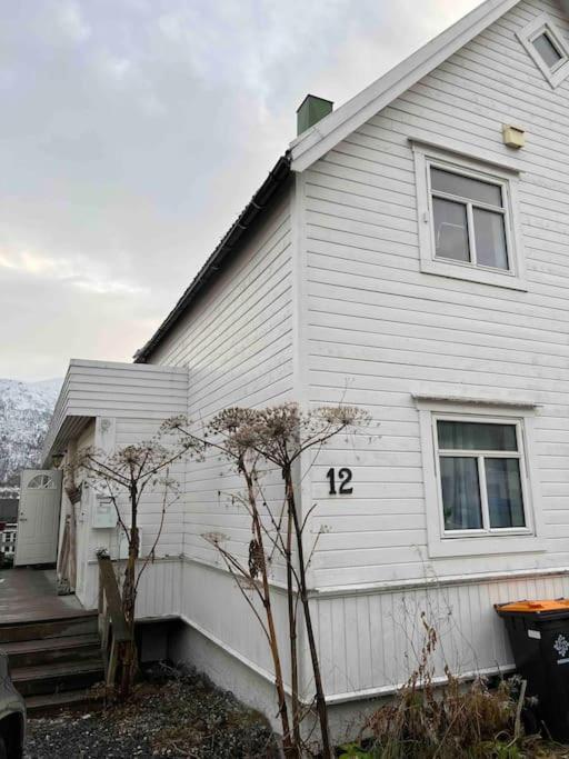 In The Heart Of The Aurora Borealis - Tromso City מראה חיצוני תמונה
