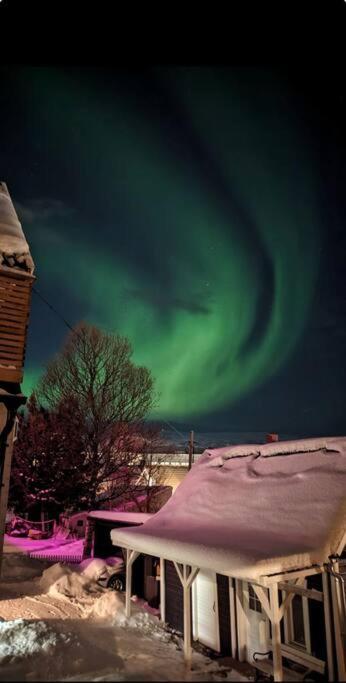 In The Heart Of The Aurora Borealis - Tromso City מראה חיצוני תמונה